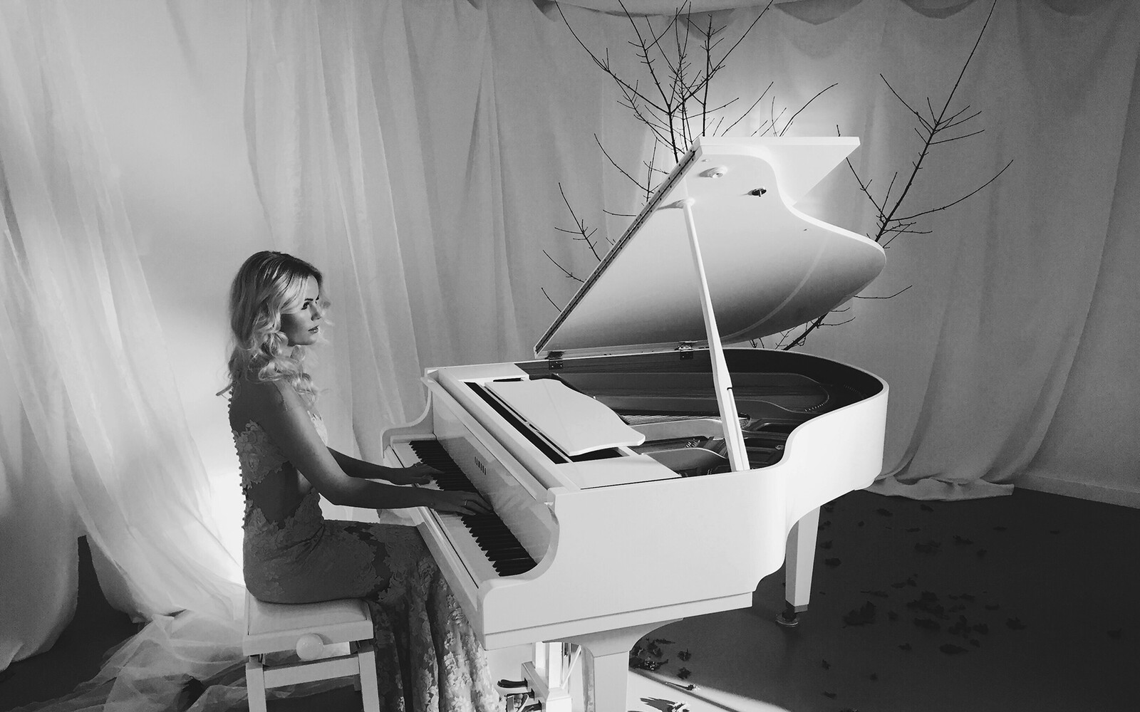 Pianisten / Keyboarder